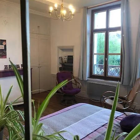 L'Omerade: Appartement De Charme Dans Une Maison Audomaroise Saint-Omer  Exterior foto
