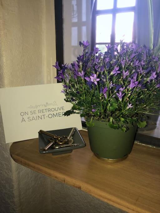 L'omerade: De Charme Dans Maison Audomaroise Apartment